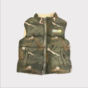 3/$15 Dino Adventure Toddler Vest